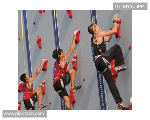 成都攀岩队的成长历程与挑战探索攀岩联赛的精彩瞬间