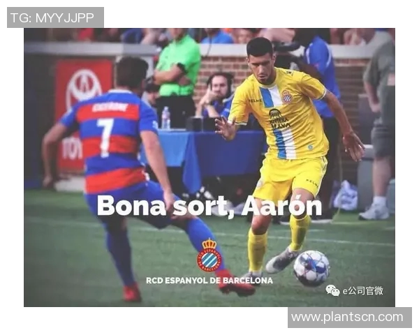 韩娱圈与足球明星的奇妙交集探讨及其影响力分析