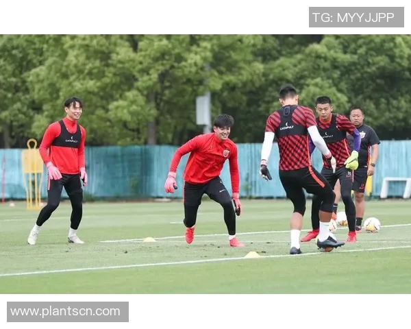 上海足球队在锦标赛中的团队协作表现分析与评价