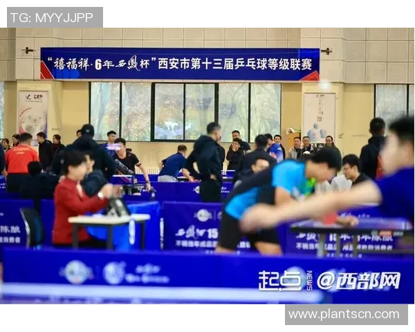 乒乓球灵活性评比揭晓西安乒乓球队荣获第四名引发热议